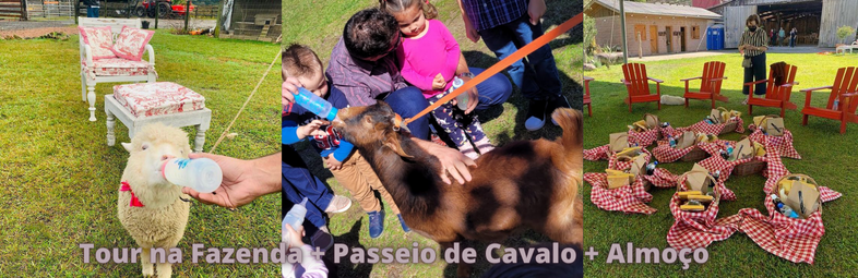 Trajetur Gramado